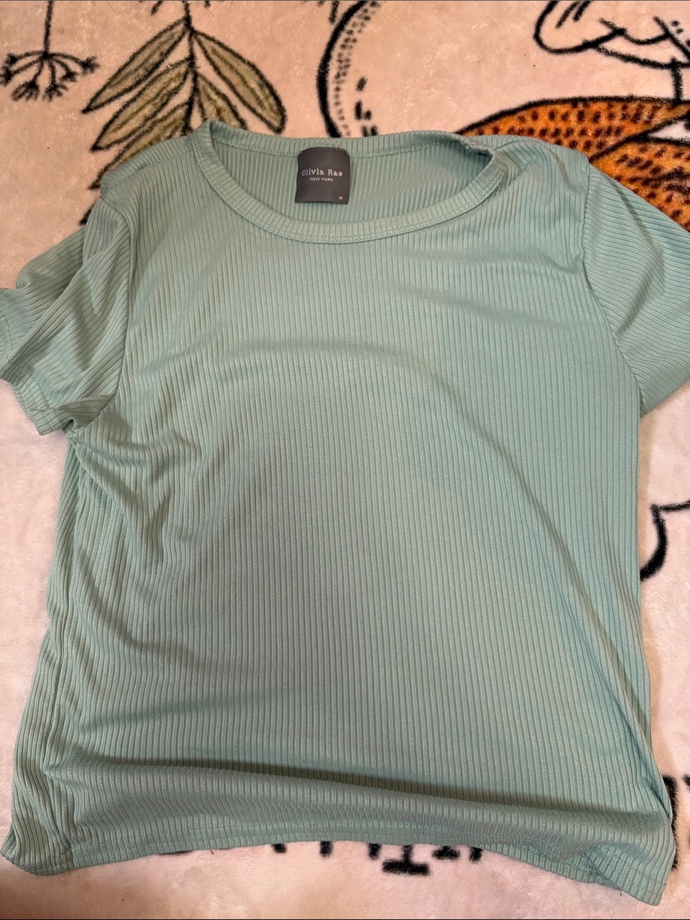 Olivia Rae Mint Green Ribbed Short Sleeve Tee